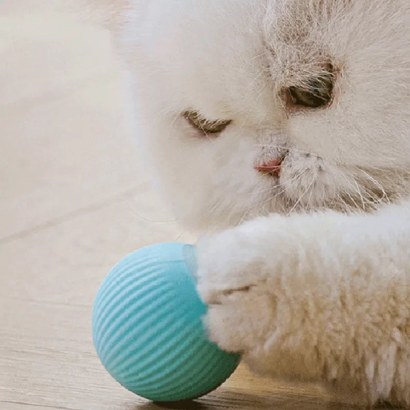 Smart Cat Toys.