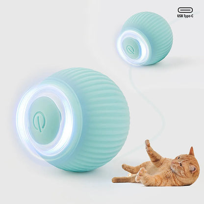 Smart Cat Toys.