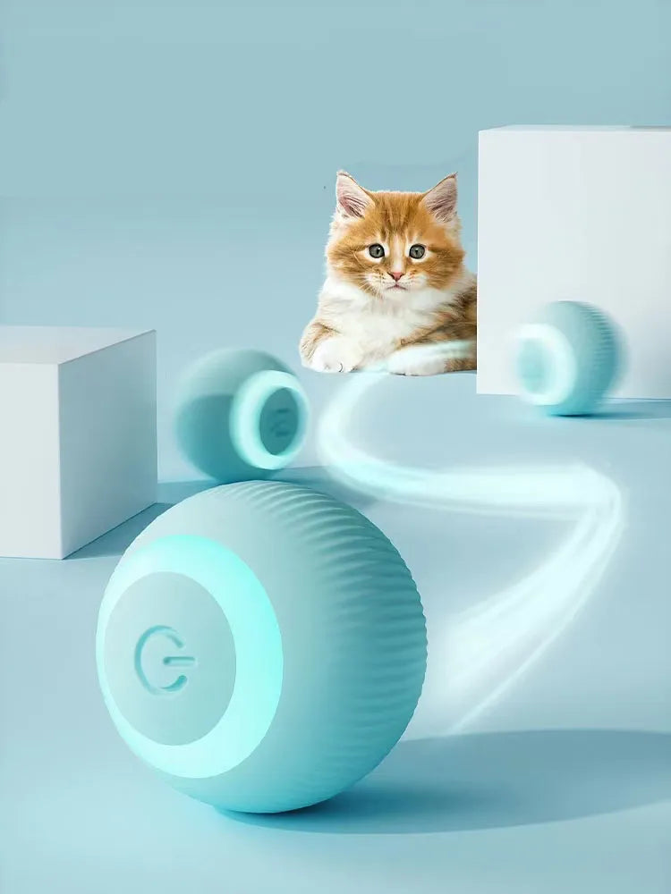 Smart Cat Toys.